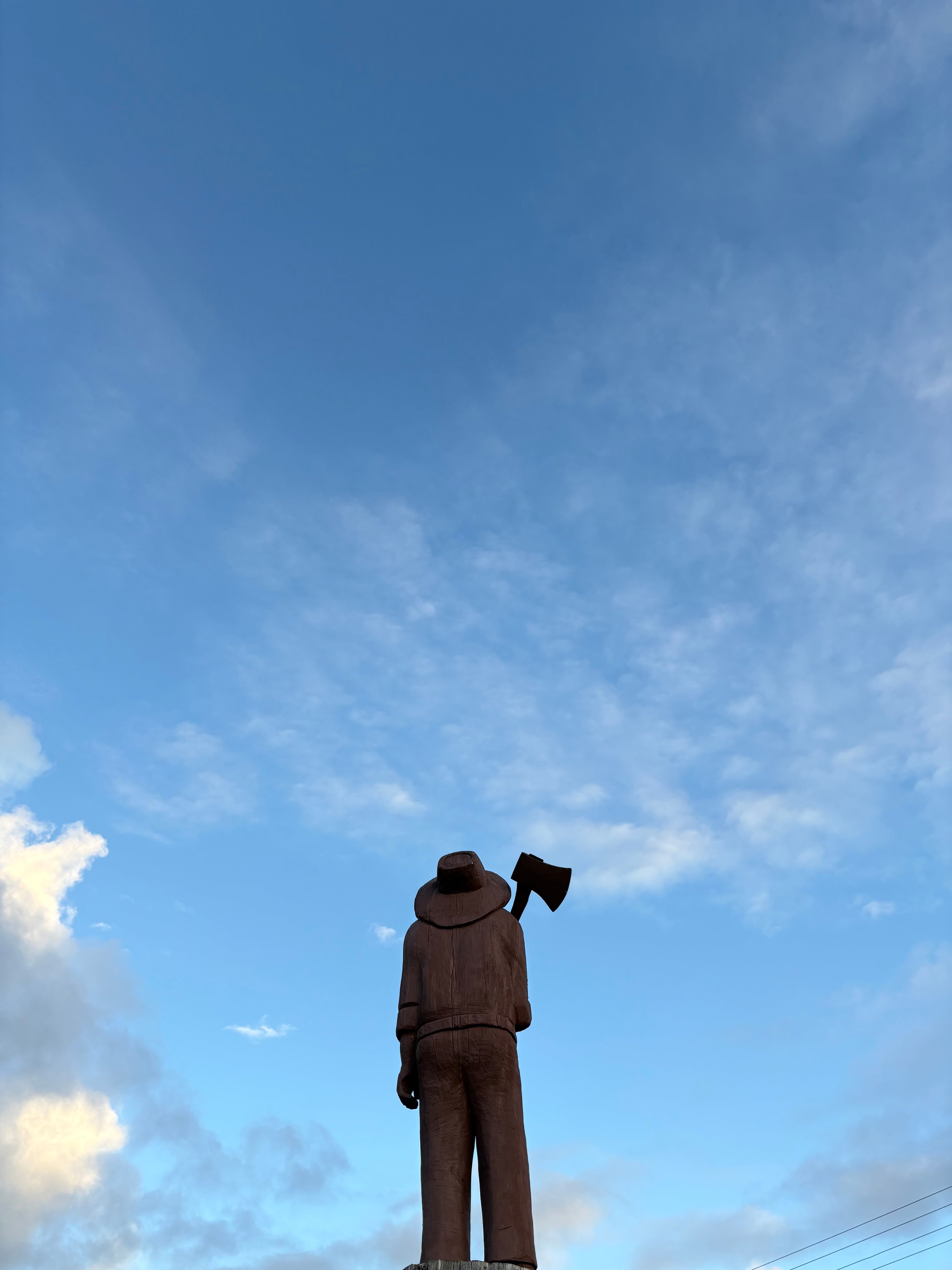 Look Up